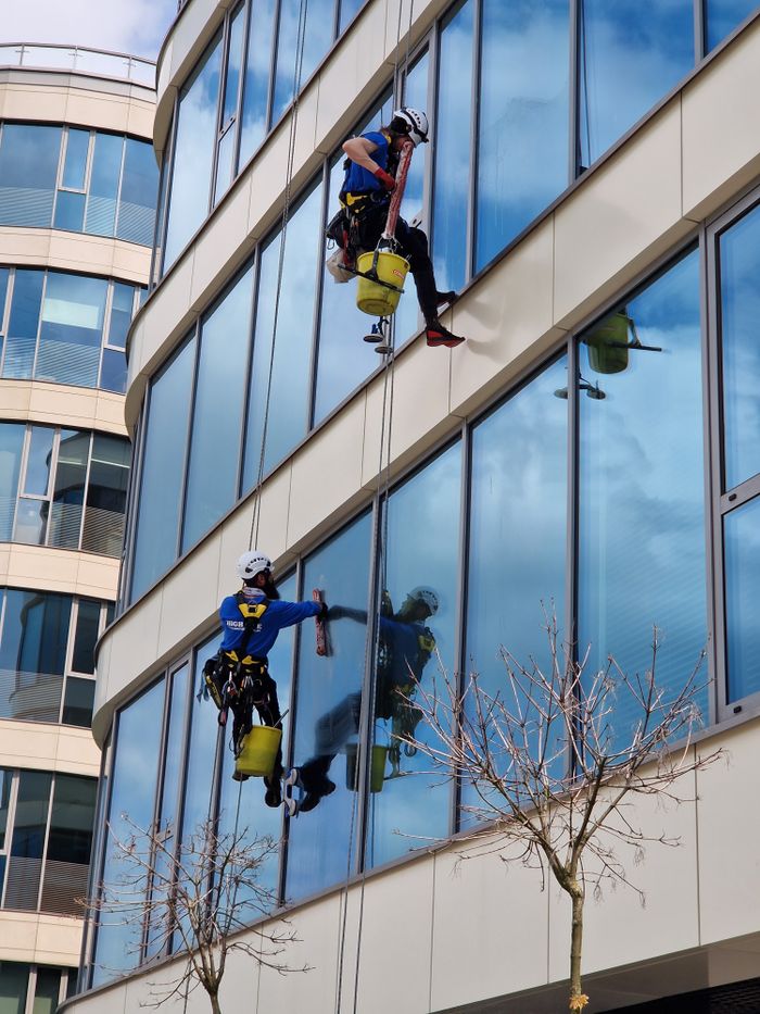 about-04 Two window cleaners using ropes on a modern skyscraper, showcasing urban professional maintenance.